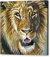 Lion King Acrylic Print