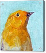 Little Bird Acrylic Print