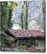 Little Cabin In The Woods Acrylic Print