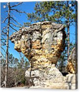 Little Peach Tree Rock-1 Acrylic Print