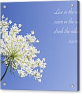 Live In The Sunshine Acrylic Print
