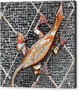 Lizard And Glass Door Ornament - Bavaria Acrylic Print