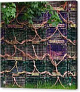 Lobster Traps Acrylic Print
