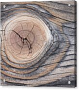 Lodgepole Pine Wood Patterns Acrylic Print