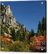 Logan Canyon Granite And Leaves Acrylic Print