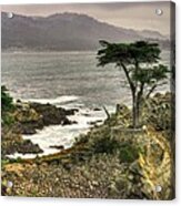 Lone Cypress Across Monterey Peninsula-1 Central California Coast Spring Mid-afternoon Acrylic Print