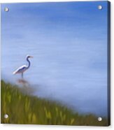 Lone Egret Painting Acrylic Print