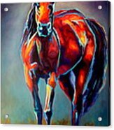 Lone Horse Acrylic Print