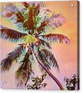 V Lone Palm Against Orange Sky - Vertical Acrylic Print