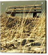 Lonely Bench Acrylic Print