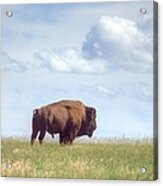 Lonely Prairie Acrylic Print