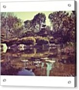 Long Beach State's Japanese Gardens Acrylic Print