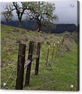 Los Padres National Forest Acrylic Print