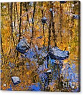 Lost In Fall's Reflections Acrylic Print