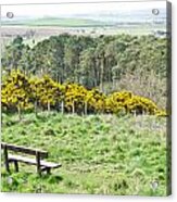 Lothian Landscape Acrylic Print