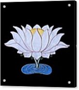 Lotus Acrylic Print