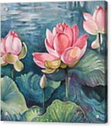 Lotus Pond Acrylic Print