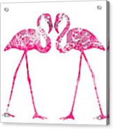 Love Flamingos Acrylic Print