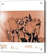 Endless Love. Love Is... Collection 13. Romantic Acrylic Print