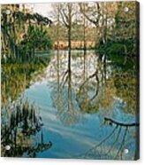 Low Country Swamp Acrylic Print