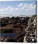Low Tide Cabrillo National Monument Acrylic Print