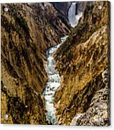 Lower Falls Of Grand Canyon Of Yellowstone Acrylic Print