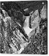 Lower Falls Of Yellowstone B W Acrylic Print