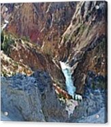 Lower Falls - Yellowstone Acrylic Print
