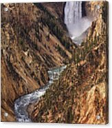 Lower Yellowstone Falls Ii Acrylic Print