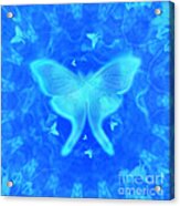 Luna Moth Blue Acrylic Print