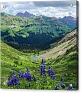 Lupine Over Valley Acrylic Print