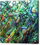 Luxury Background Of Blue Abalone Pearl Acrylic Print