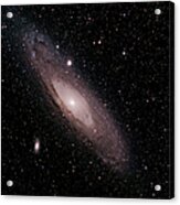 M 31, The Andromeda Galaxy Acrylic Print