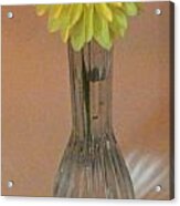 M Still Life Collection Yellow Flower Clear Vase No. Slc14 Orange Acrylic Print