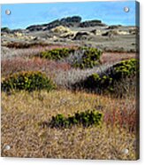 Ma-le'l Dunes Acrylic Print