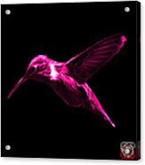 Magenta Hummingbird - 2054 F Acrylic Print