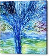 Magic Thorn Tree The Celtic Tree Of Life Acrylic Print