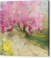 Magnolia Tree Central Park Watercolor Landscape Painting Acrylic Print
