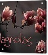 Magnolias Acrylic Print