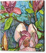 Magnolias Acrylic Print