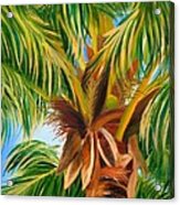 Majestic Palm Acrylic Print