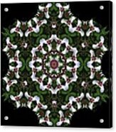 Mandala Trillium Holiday Acrylic Print