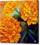 Marigolds In Bloom Pastel  Sold Acrylic Print