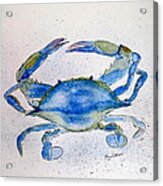 Maryland Blue Crab Acrylic Print