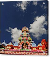 Mauritius, Bambou, Low Angle View Acrylic Print