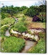 Meandering Creek Acrylic Print