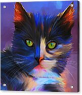 Meesha Colorful Cat Portrait Acrylic Print by Michelle Wrighton