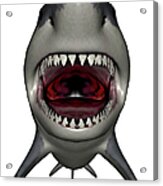 Megalodon Dinosaur With Mouth Open Acrylic Print