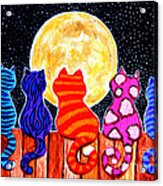 Meowing At Midnight Acrylic Print