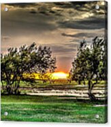 Mesquite Sunset Hdr Acrylic Print